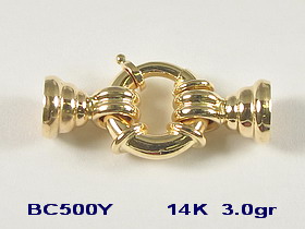 BC500Y