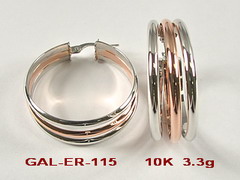 GAL-ER-115