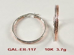 GAL-ER-117