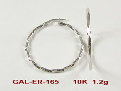 GAL-ER-165