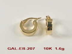 GAL-ER-207