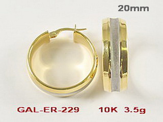 GAL-ER-229