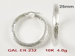 GAL-ER-232