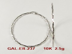 GAL-ER-237