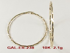 GAL-ER-238