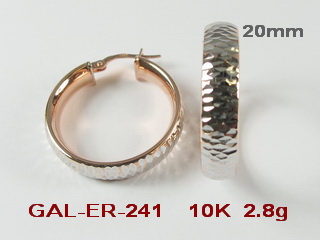 GAL-ER-241