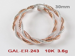 GAL-ER-243