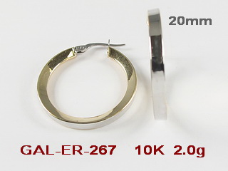 GAL-ER-267