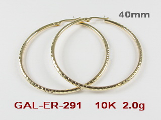 GAL-ER-291