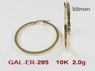 GAL-ER-295