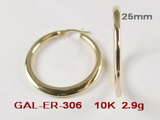 GAL-ER-306
