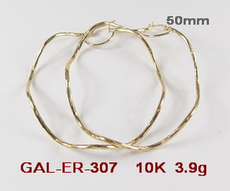 GAL-ER-307
