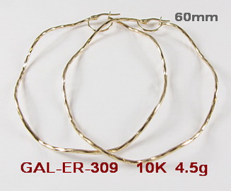 GAL-ER-309