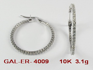 GAL-ER-4009