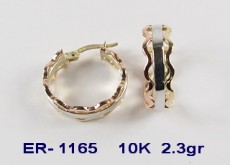 ARP-ER-1165