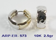 ARP-ER-573