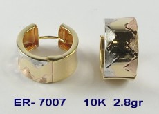 ER-7007