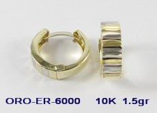 ER6000