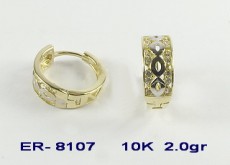 GV-ER-8107